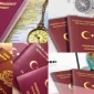 Online Visa Türleri Nelerdir?